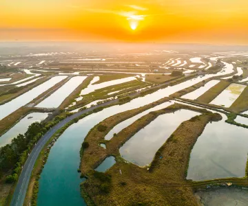 Natuuruitjes Marennes-Oléron