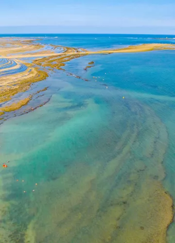 Playas de la isla de Oléron y Marennes-Becken