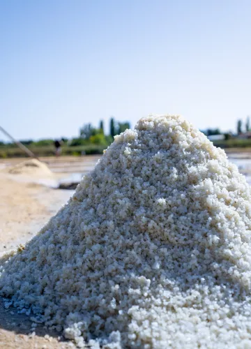Zout, Isla de Oléron 