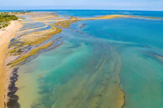 Playas de la isla de Oléron y Marennes-Becken