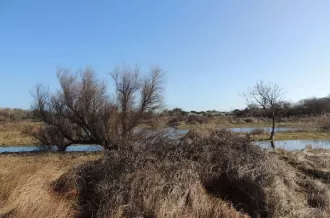 Marais de la Perroche