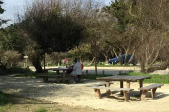 Aire de pique-nique La Rémigeasse