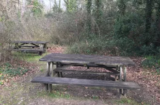 Aire de pique-nique Marais aux Oiseaux