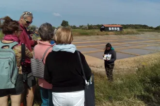 Fête de la nature au Port des Salines