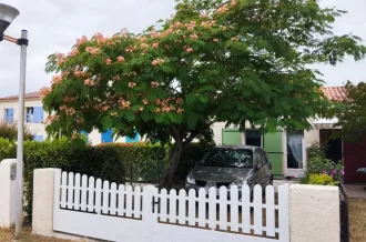 Portail avant - Entrée