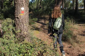 Balade pédestre : Saint-Trojan-les-Bains, la forêt domaniale_Dolus-d'Oléron