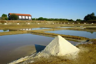 Fête de la science au Port des Salines