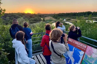 Le coucher des aigrettes_Dolus-d'Oléron