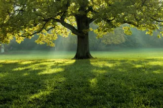 Atelier "Inventons nos vies bas carbone"_Dolus-d'Oléron