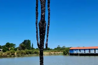 Exposition de peinture Hélène de St-Do et sculpture Robert Berjaud_Saint-Trojan-les-Bains