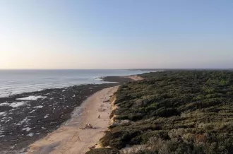 L'homme de l'île guide touristique_Dolus-d'Oléron