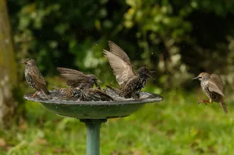 Exposition de photographie