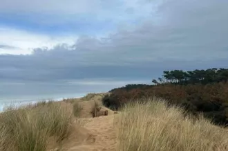 Randonnée entre mer & forêt