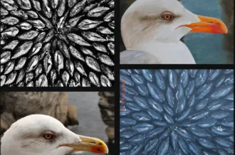 Regards croisés Photos et Peintures d'Oléron