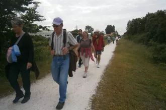Marche gourmande à Bourcefranc