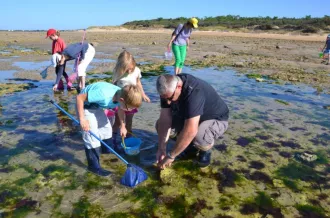 Pêche à pied écologique - L'Ecuissière_Dolus-d'Oléron