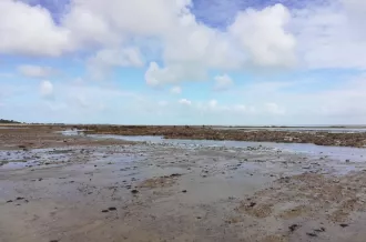 Vivre avec les aléas climatiques sur l'île d'Oléron 