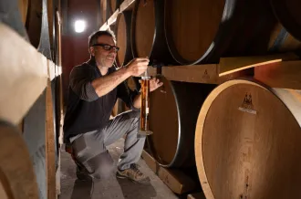 Vignoble Mage & Fils_Saint-Pierre-d'Oléron