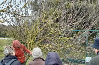 Les végétaux : ressources de mon jardin
