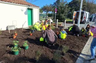 Atelier de plantation participatif_Saint-Denis-d'Oléron