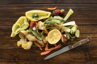 Atelier comment réutiliser ses déchets de table