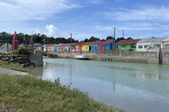 Marché artisanal du Mimosa_Saint-Trojan-les-Bains
