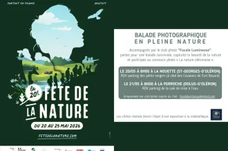Balade photographique à la recherche des plus beaux clichés de la nature_Saint-Georges-d'Oléron