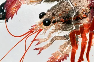 Exposition Miroir de l'océan - Arnaud Kasper_Saint-Pierre-d'Oléron