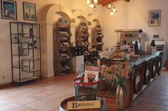 Visite du vignoble Vincent_Saint-Pierre-d'Oléron