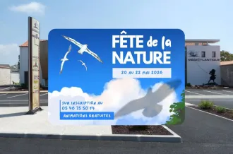 Fête de la Nature à la Médiathèque_Saint-Georges-d'Oléron