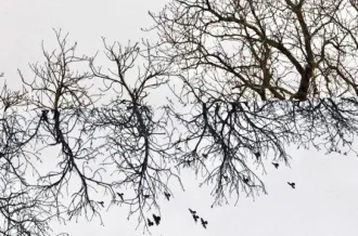 Exposition photographique - Alentours