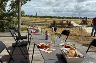 Visite ostréicole "le banc d'Aline"_Marennes-Hiers-Brouage