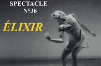 spectacle de danse Alcyon_Marennes-Hiers-Brouage