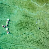 Zeil- en duikschool Ile d'Oléron Marennes