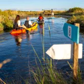El piragüismo, la isla de Oléron y la cuenca de Marennes