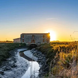 Visite du Moulin des Loges à la Lampe Torche
