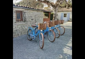 Au calme des figuiers