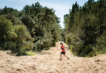 Forêt de Saint-Trojan-les-Bains_Saint-Trojan-les-Bains