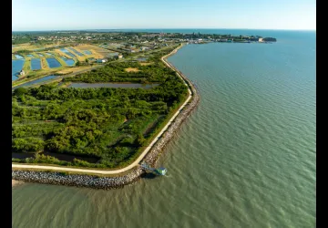 Le sentier du littoral au Château d'Oléron_Le Château-d'Oléron
