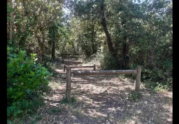 Parcours sportif Saint Trojan les Bains