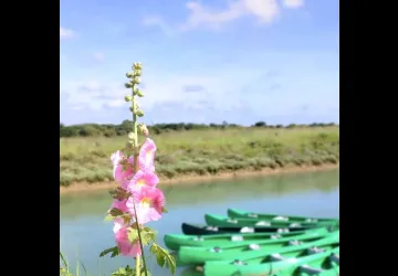 Aloha Canoë Oléron_Saint-Georges-d'Oléron