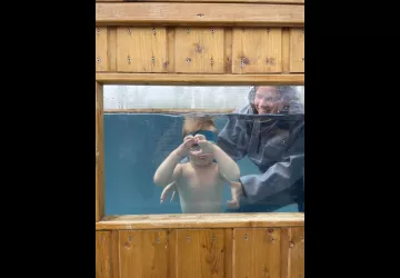 Une crevette incroyable