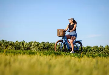 Location de vélo sur Oléron