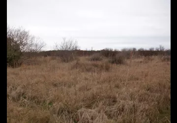 Marais Lacheneau et bois des combes