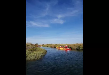 Animation en canoé par le CPIE-Marais d'Arceau