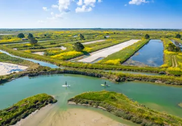 Marais de l'éguille_Saint-Pierre-d'Oléron
