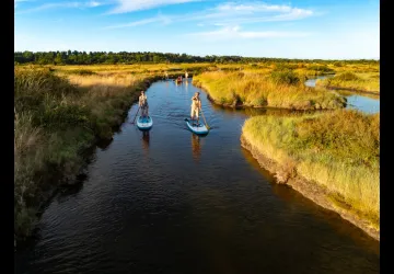 Marais de l'éguille_Saint-Pierre-d'Oléron