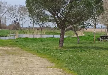 Aire de pique nique Arceau