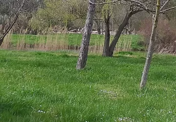 Aire de pique nique Arceau