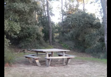Aire de pique nique